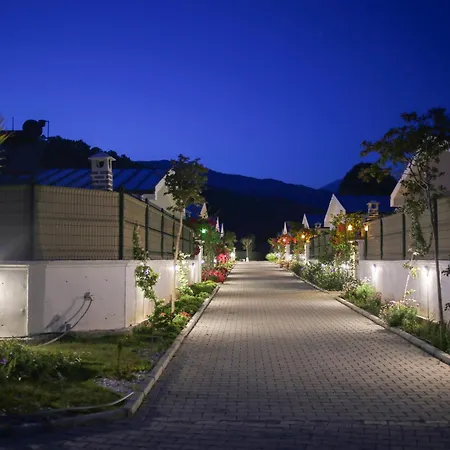 Talia Villalari ヴィラ フェティエ