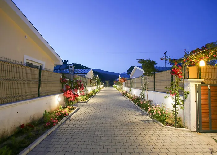 Talia Villalari フェティエ