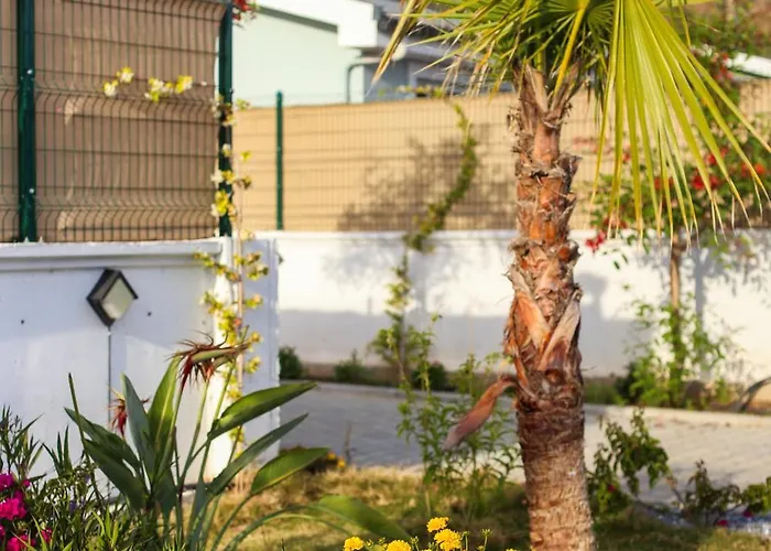 Talia Villalari ヴィラ