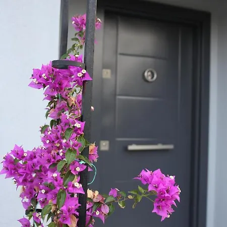 וילה Talia Villalari