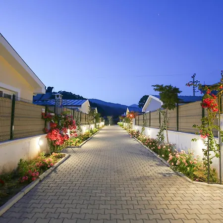 Talia Villalari פאטהיה