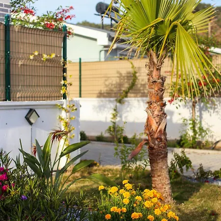 Talia Villalari Βίλα