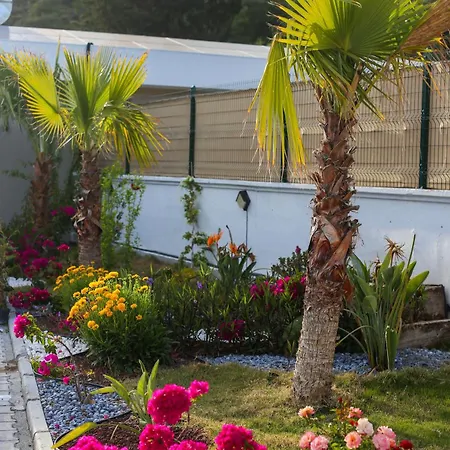 Talia Villalari וילה פאטהיה