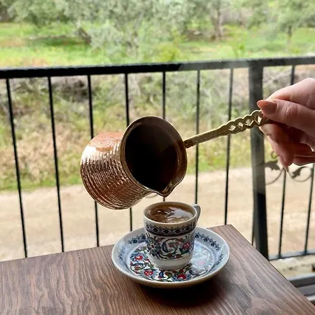 Talia Villalari פאטהיה