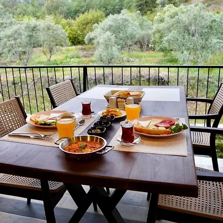 Villa Talia Villalari *