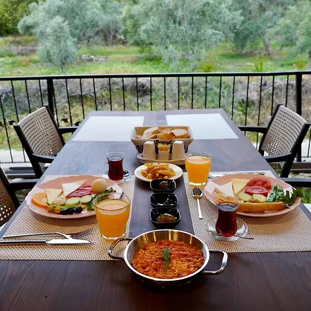 Βίλα Talia Villalari *