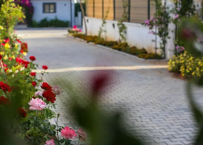 Talia Villalari Villa